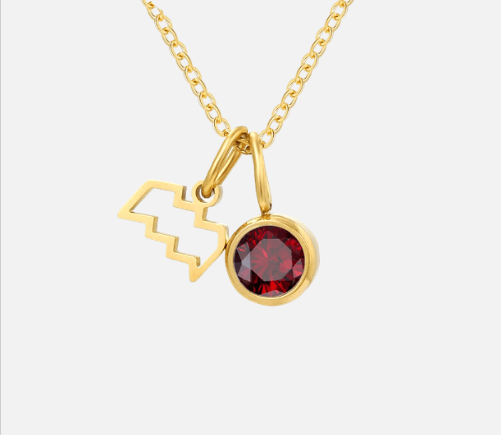 Dainty Birthstone Zodiac Necklace (14k Gold-Plated) - Jewelled Me