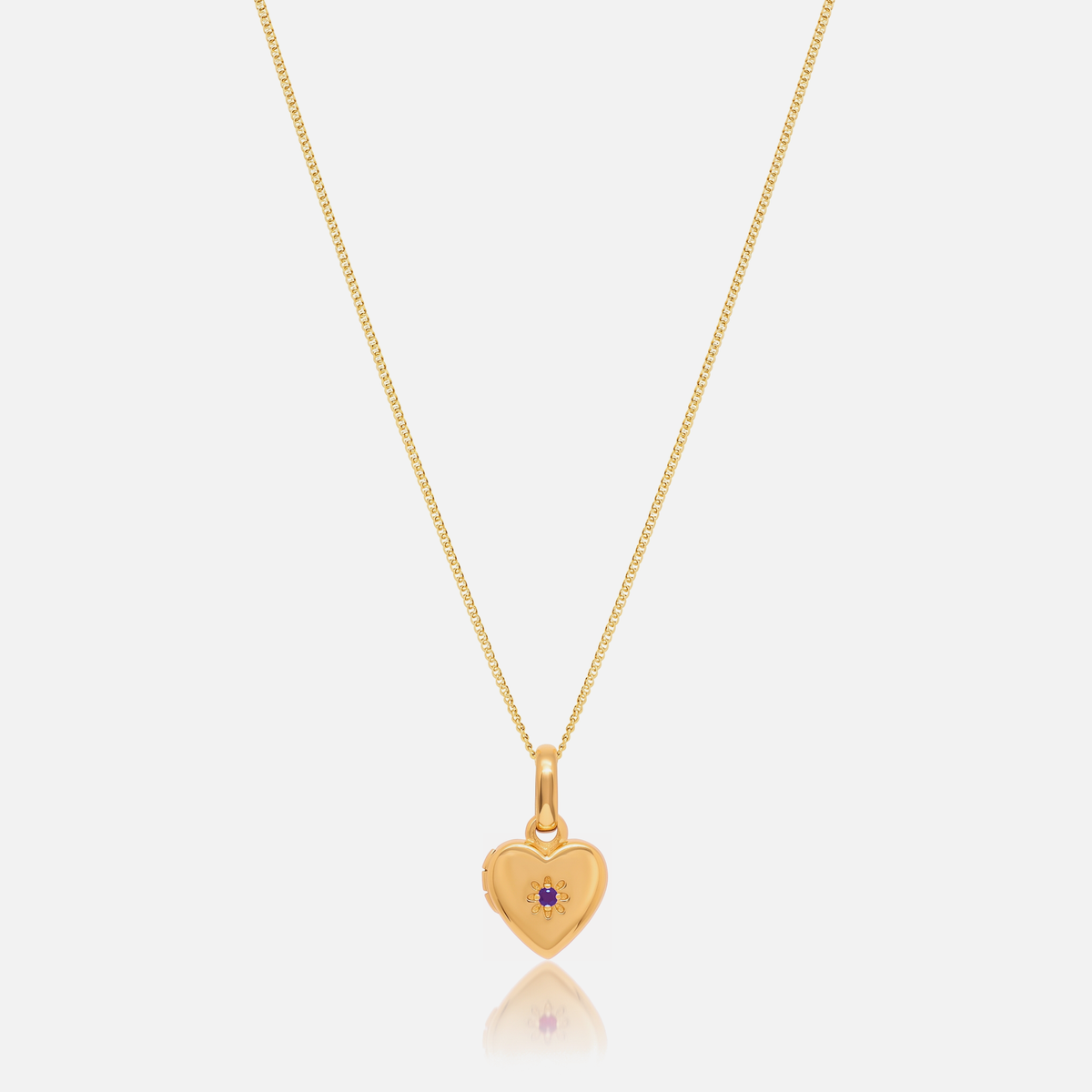 Birthstone Heart Locket Necklace in Gold with February Amethyst birthstone – Jewelled Me